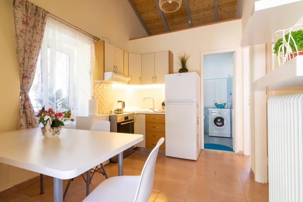Thanos Cottage Vlachopoulátika Exteriör bild